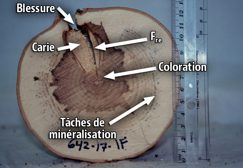 Fente radiale externe 2