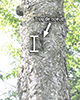 Icône EN02X