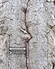 Icône FE13A