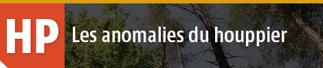 Anomalies du houppier